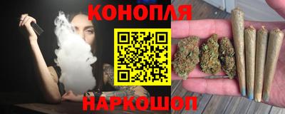 сатива Заводоуковск