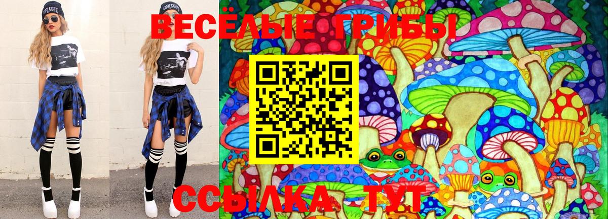 Псилоцибиновые грибы Magic Shrooms  Псилоцибиновые грибы Psilocybe  Вход с VPN  Крымск 